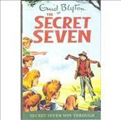 Enid Blyton Secret Seven Win Through